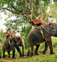 travel-image