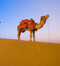 travel-image