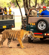 travel-image