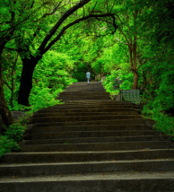 travel-image